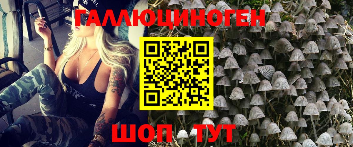 Галлюциногенные грибы Cubensis  Вход с VPN  Ульяновск  Галлюциногенные грибы мицелий 